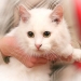 /a></i/></a></div> </ clmaltilideshow-lyubyadeshuyu-w-myule-main-frame-row-item views-row views-row-1 views-row-even
